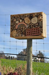 Bienenweide  - Wildbienenhotel - Blumen Tschopp St.Gallen